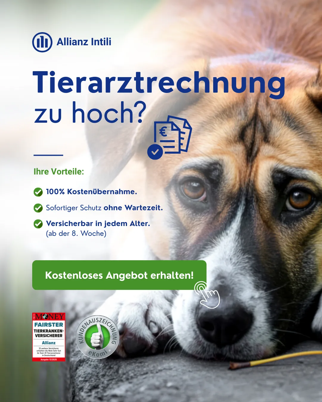Werbeanzeige "Tierarztrechnung zu hoch?" mit traurigem Hund für Allianz Tierkrankenversicherung. Performance Design von Agentur Reuber.