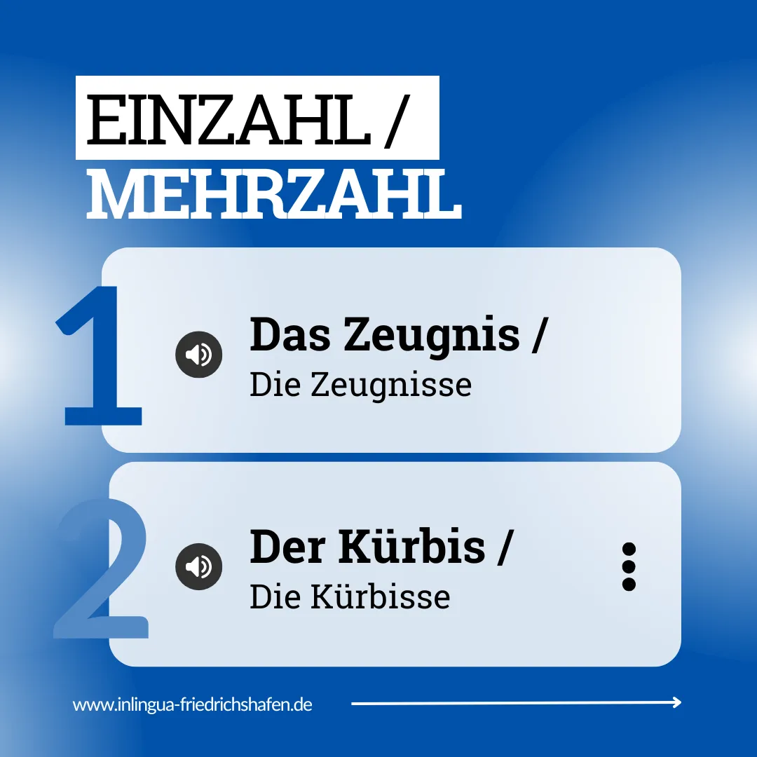 inlingua Sprachschule digital stärken – Social Media Marketing für mehr Kursteilnehmer