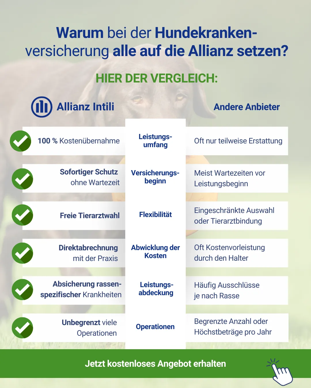 Infografik Vergleichstabelle Allianz Hundekrankenversicherung vs. Andere Anbieter. Konversions-Design von Agentur Reuber für Allianz Intili.