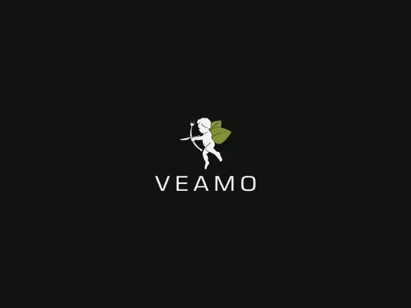 Veamo friedrichshafen logo